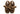 Organic Bear Slippers thies 1856 ® Vegan Brown